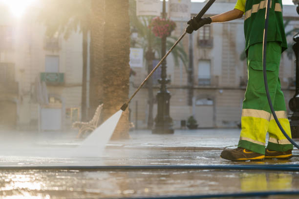 Best Soft Washing for Delicate Surfaces in Southern View, IL